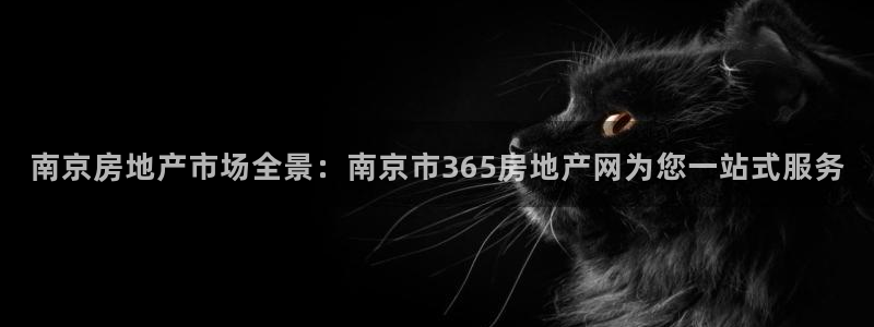新宝5官方：南京房地产市场全景：南京市365房地产网为您一站