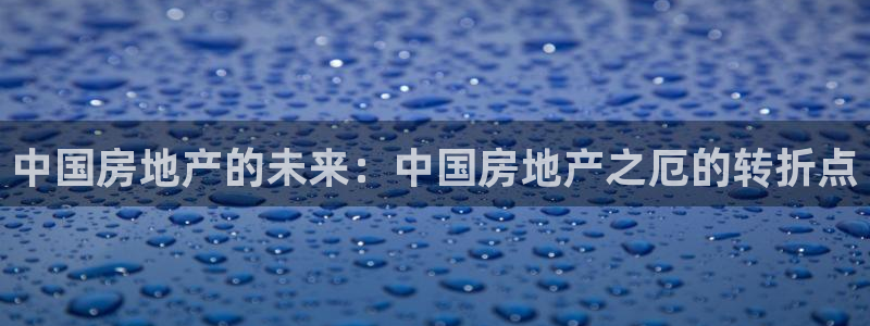 菲律宾新宝5老板：中国房地产的未来：中国房地产之厄的转折点