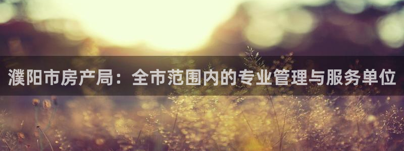 新宝5登陆：濮阳市房产局：全市范围内的专业管理与服务单位