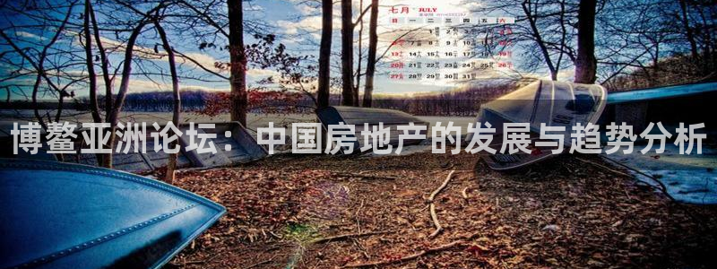 新宝5吕74OOO5：博鳌亚洲论坛：中国房地产的发展与趋势分