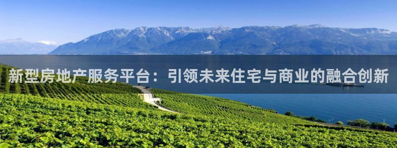 新宝5线路：新型房地产服务平台：引领未来住宅与商业的融合创新
