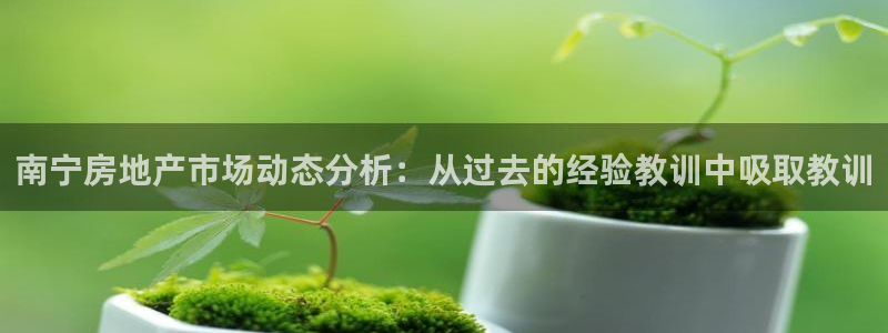 新宝5安卓版：南宁房地产市场动态分析：从过去的经验教训中吸取