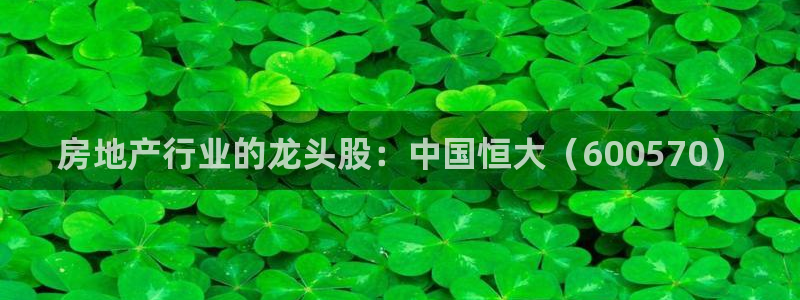 新宝5娱乐没：房地产行业的龙头股：中国恒大（600570）