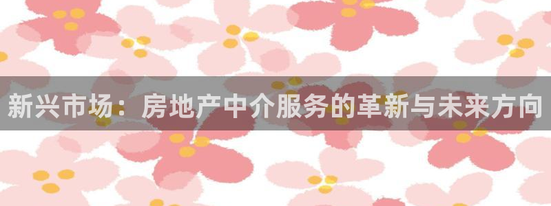 新宝5测登录：新兴市场：房地产中介服务的革新与未来方向