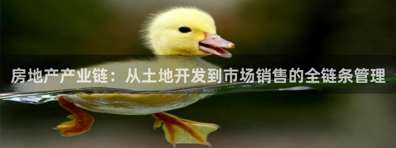 新宝5娱乐都：房地产产业链：从土地开发到市场销售的全链条管理