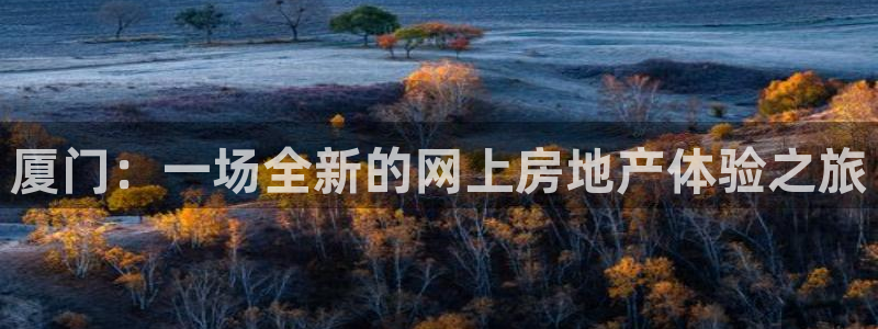 新宝5下载 迅雷下载