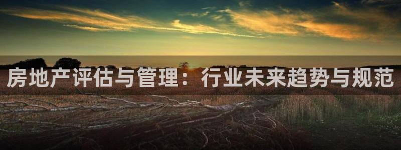 新宝股东瞧听2 5 5：房地产评估与管理：行业未来趋势与规范