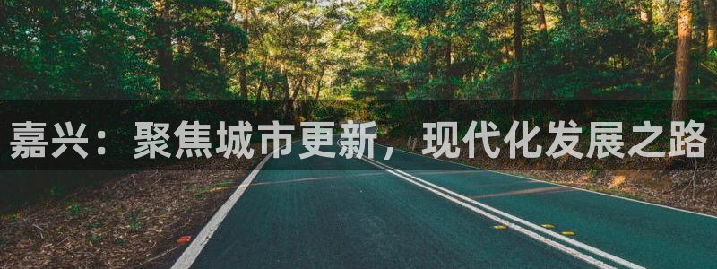 新宝5现在还能玩吗：嘉兴：聚焦城市更新，现代化发展之路