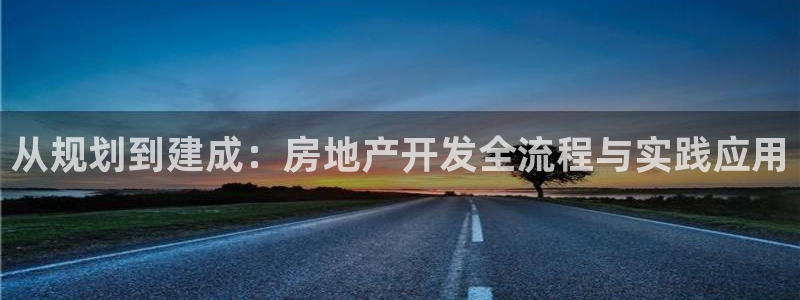 新宝m2O5O5O：从规划到建成：房地产开发全流程与实践应用