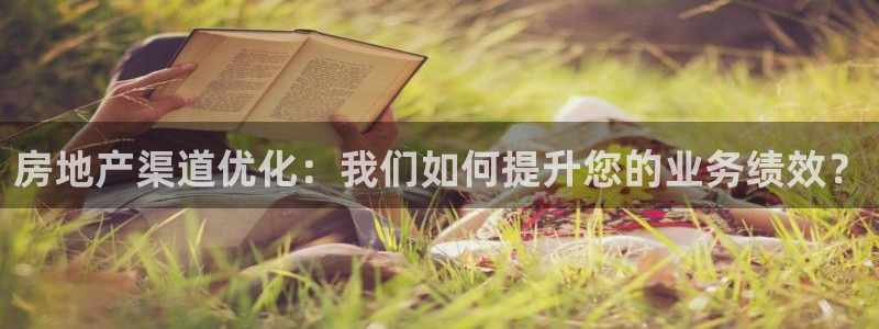 新宝5黑彩：房地产渠道优化：我们如何提升您的业务绩效？