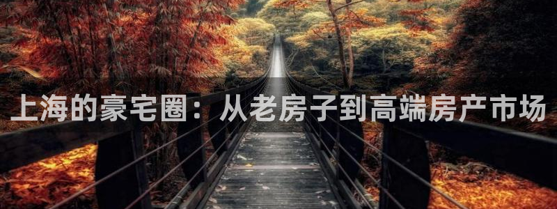 新宝5是什么：上海的豪宅圈：从老房子到高端房产市场