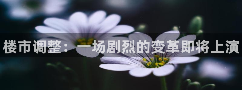 新宝5怎么下载到桌面：楼市调整：一场剧烈的变革即将上演