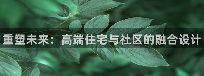 新宝5线路：重塑未来：高端住宅与社区的融合设计