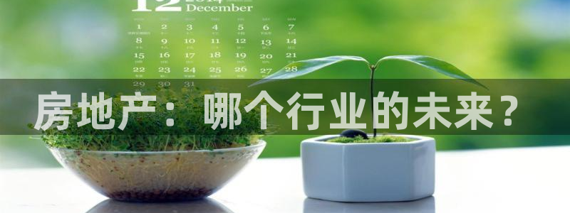 新宝5褚32OO59：房地产：哪个行业的未来？