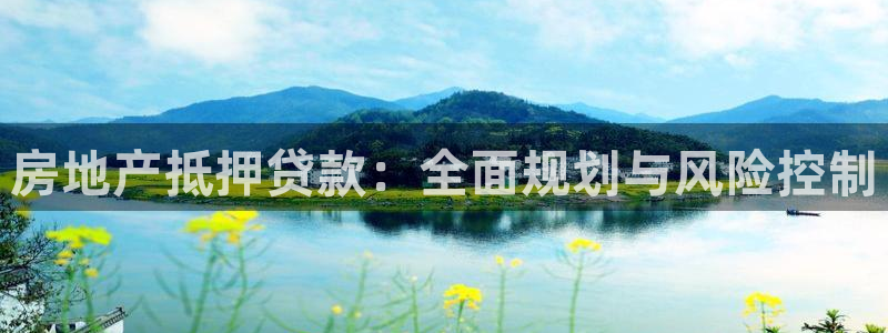 新宝5户端：房地产抵押贷款：全面规划与风险控制