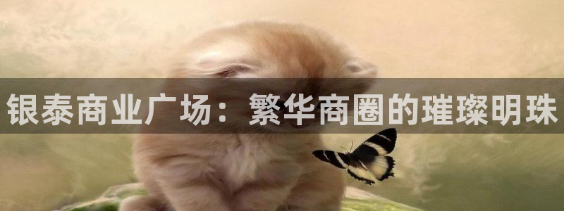 新宝5下载测试：银泰商业广场：繁华商圈的璀璨明珠