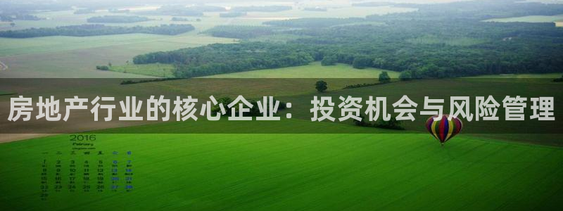 新宝5浗维33 300：房地产行业的核心企业：投资机会与风险
