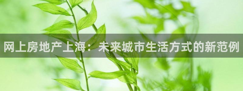 新宝5娱乐注册：网上房地产上海：未来城市生活方式的新范例