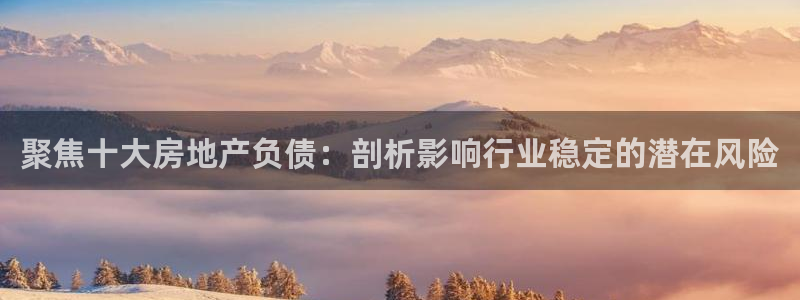新宝5 注册：聚焦十大房地产负债：剖析影响行业稳定的潜在风险