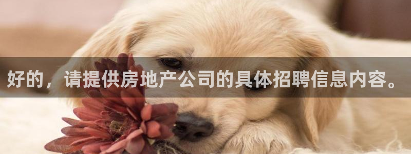 新宝5代理注册：好的，请提供房地产公司的具体招聘信息内容。