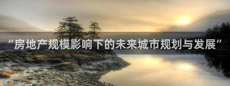 新宝5平台注册资金：“房地产规模影响下的未来城市规划与发展”
