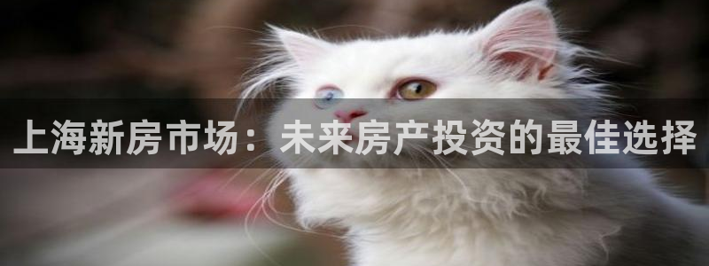 新宝5测试：上海新房市场：未来房产投资的最佳选择