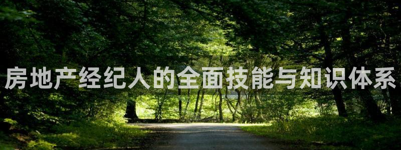 新宝rc_5w：房地产经纪人的全面技能与知识体系