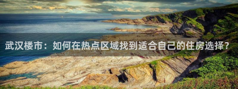 新宝5招商部：武汉楼市：如何在热点区域找到适合自己的住房选择