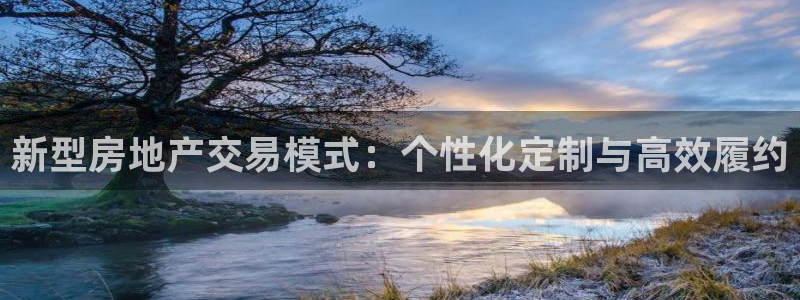 新宝6霸哥5：新型房地产交易模式：个性化定制与高效履约