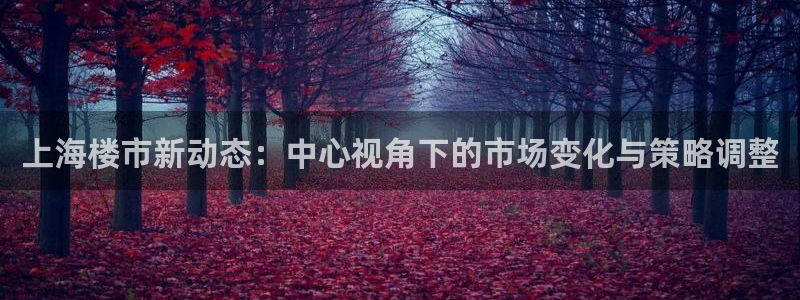 新宝5首页：上海楼市新动态：中心视角下的市场变化与策略调整