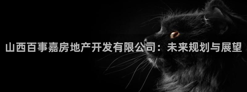 新宝5后：山西百事嘉房地产开发有限公司：未来规划与展望