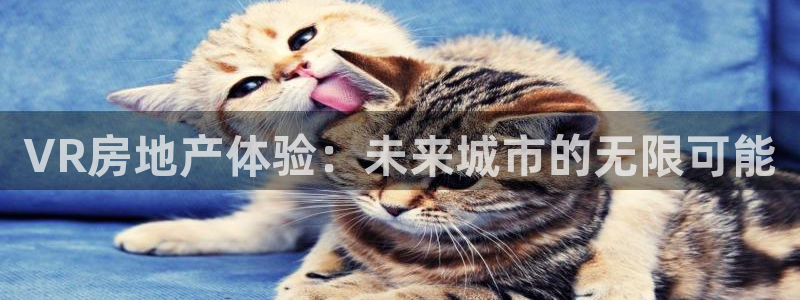 新宝5注册账号：VR房地产体验：未来城市的无限可能
