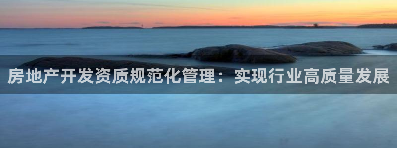 新宝那2O5O5O：房地产开发资质规范化管理：实现行业高质量