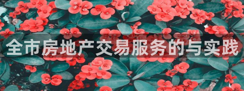 新宝5日740005蔻：全市房地产交易服务的与实践