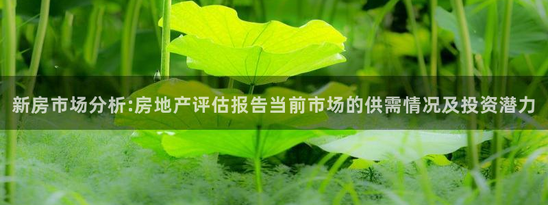 新宝5_测：新房市场分析:房地产评估报告当前市场的供需情况及