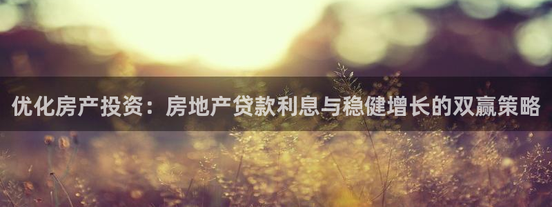 新宝h2O5O5O：优化房产投资：房地产贷款利息与稳健增长的