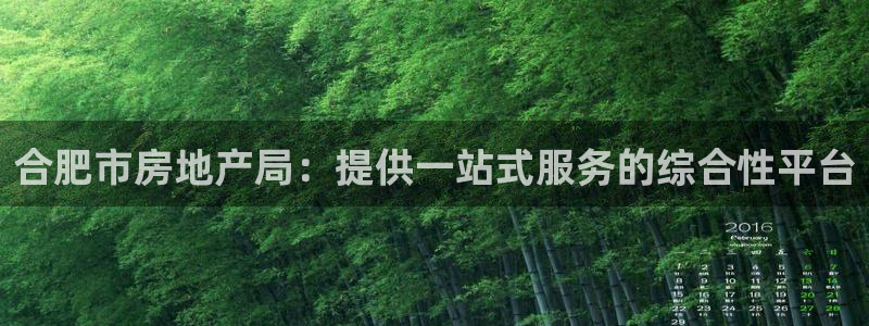 新宝5软件下载：合肥市房地产局：提供一站式服务的综合性平台