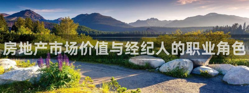 新宝5娱乐然：房地产市场价值与经纪人的职业角色