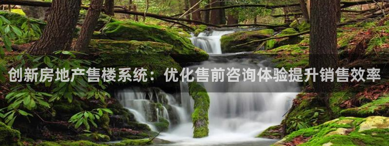 新宝5平台注册资金：创新房地产售楼系统：优化售前咨询体验提升