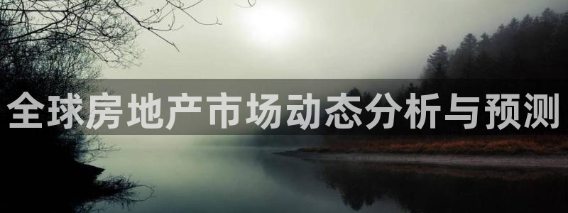 新宝5系列：全球房地产市场动态分析与预测