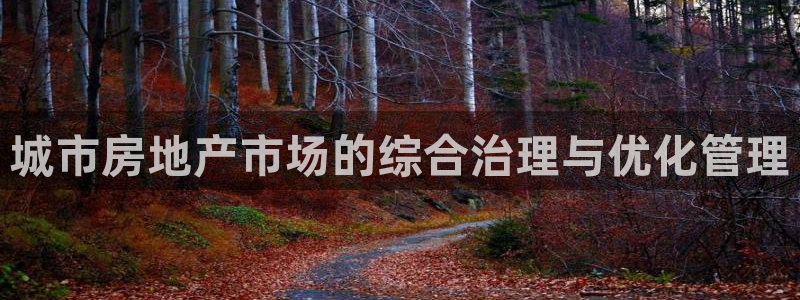 新宝5在哪里：城市房地产市场的综合治理与优化管理