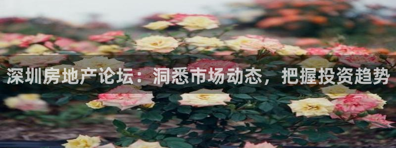 新宝cR一5：深圳房地产论坛：洞悉市场动态，把握投资趋势