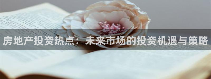 新宝5球维33 300：房地产投资热点：未来市场的投资机遇与