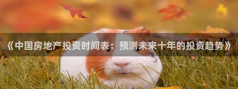 新宝5如何注册登录：《中国房地产投资时间表：预测未来十年的投