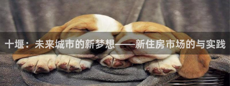 新宝5注册：十堰：未来城市的新梦想——新住房市场的与实践