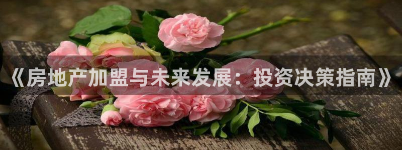 新宝5测速线路：《房地产加盟与未来发展：投资决策指南》
