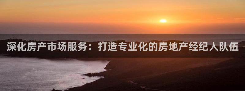 新宝5系列：深化房产市场服务：打造专业化的房地产经纪人队伍