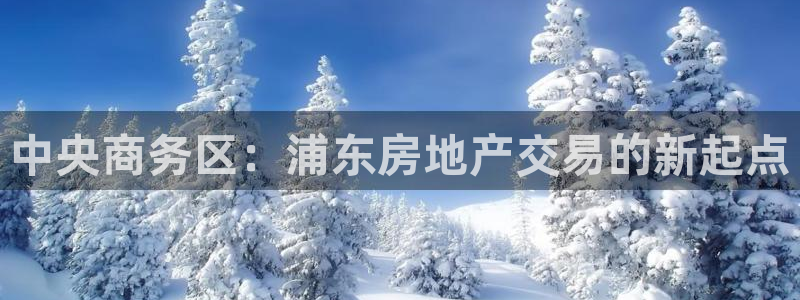 新宝5新宝6顺达：中央商务区：浦东房地产交易的新起点