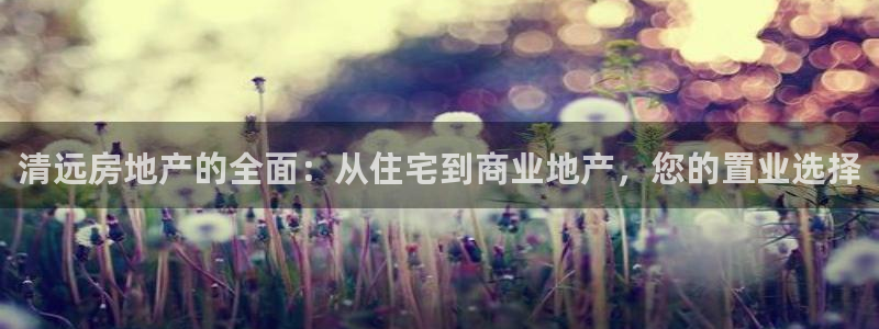 新宝5的网址：清远房地产的全面：从住宅到商业地产，您的置业选
