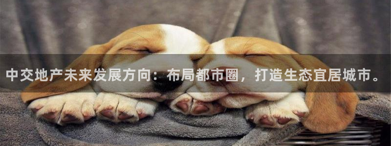 新宝5电脑：中交地产未来发展方向：布局都市圈，打造生态宜居城